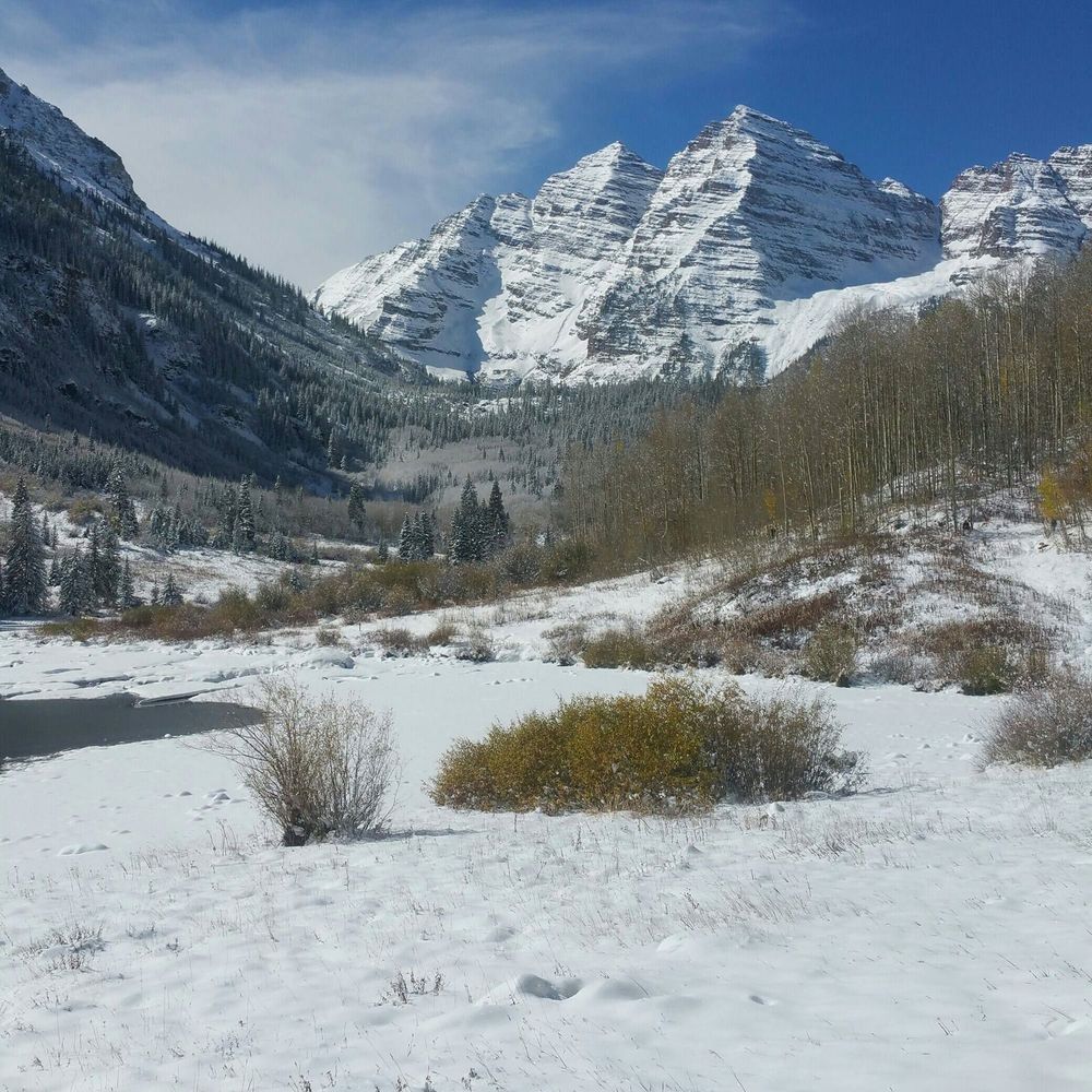 Meet your Posher, Brenda